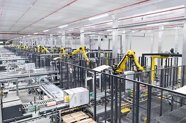 Pallettázó robotok